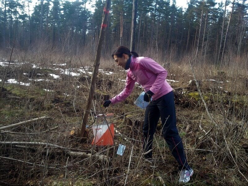 Roosa jopega orienteeruja võtab punkti kevadiselt raagus metsas